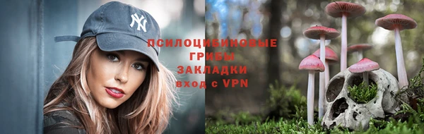 марки nbome Баксан