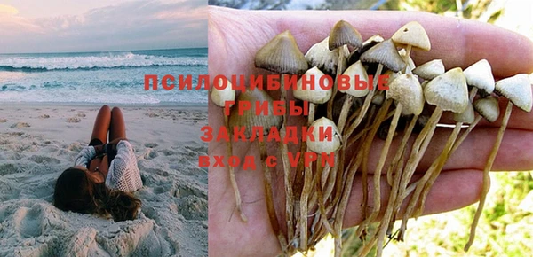 mdpv Балахна